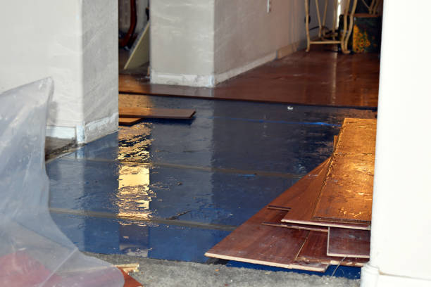 Professional Burst Pipe Cleanup technician working in Reading, MI
